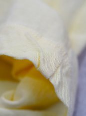 画像6: ATON STANDARD T-SHIRT / FRESCA SINGLE JERSEY  (6)