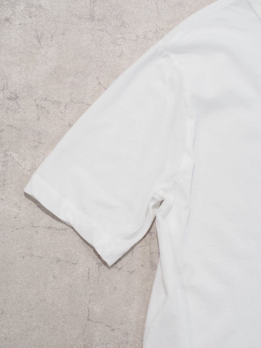 画像3: ATON STANDARD T-SHIRT / FRESCA SINGLE JERSEY  (3)